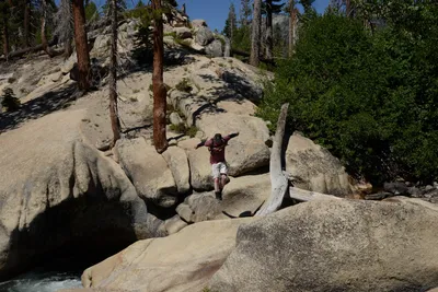 DSC_3810 (Large).JPG